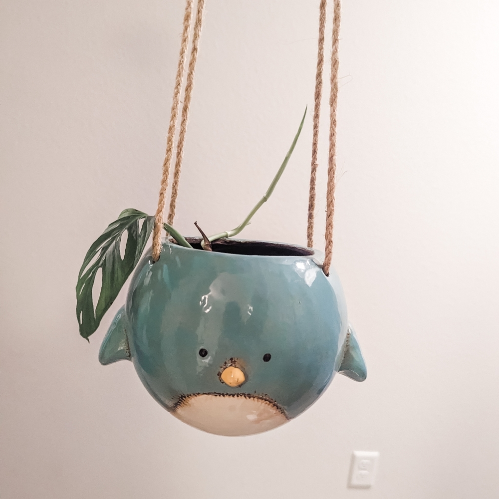 Hanging Bird Planter